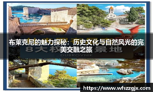 布莱克尼的魅力探秘：历史文化与自然风光的完美交融之旅